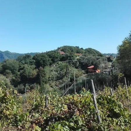 Holiday home Casa Greta Massarosa